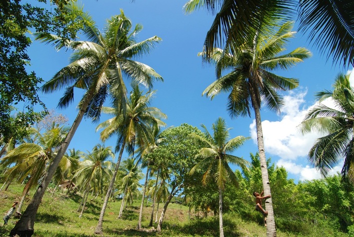 Isla Reta 2, Talicud Island, Samal, Davao